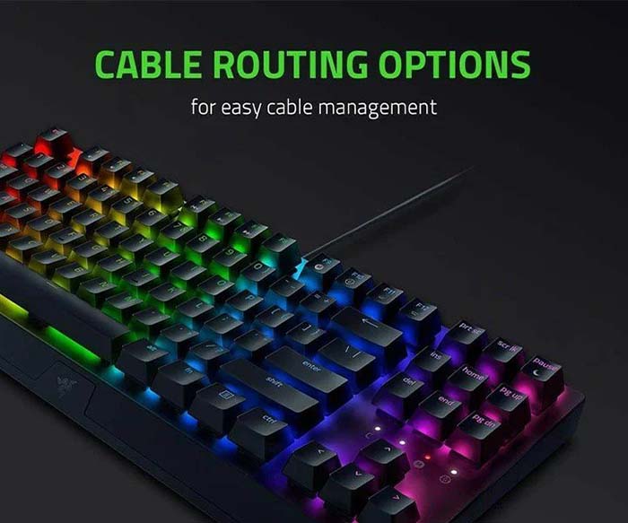 TNC Store Bàn Phím Razer BlackWidow V3 Tenkeyless Yellow Switch